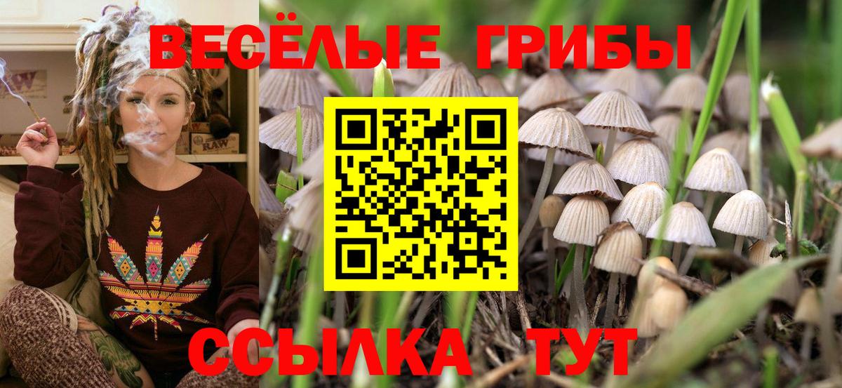 Старая Купавна  Галлюциногенные грибы Psilocybine cubensis  Вход с VPN  Псилоцибиновые грибы Cubensis 